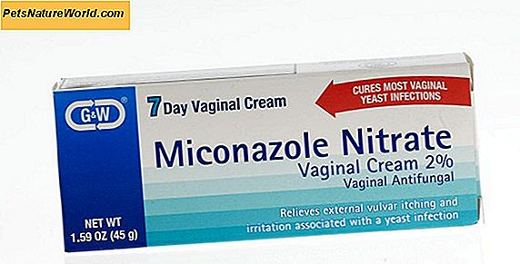 Miconazol Cream för hundar