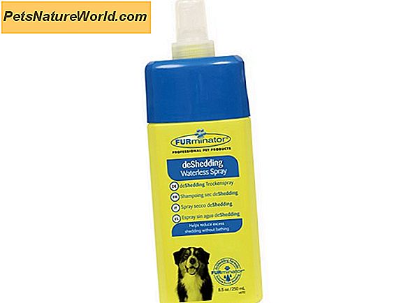 Deshedding Shampoo för hundar