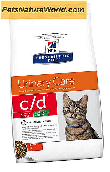Urinary Tract Stöd för katter